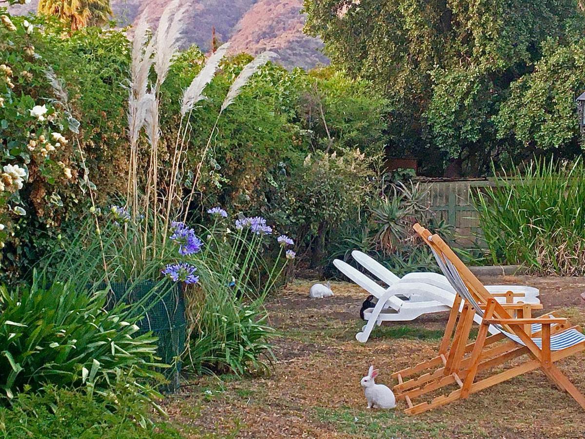 Novaqua Bed & Breakfast Olmué Exteriér fotografie